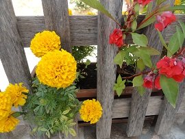 Douliana, Crete, Kreta