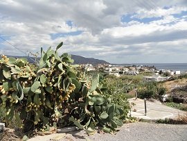 Makrigialos, Crete, Kreta