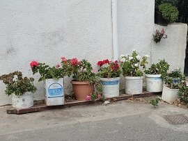 Stavrochori, Stavrohori, Crete, Kreta