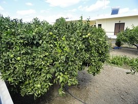 Kato Episkopi, Crete, Kreta