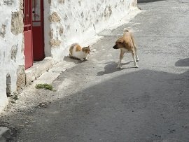 Kato Episkopi, Crete, Kreta