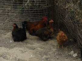 Kato Episkopi, Crete, Kreta