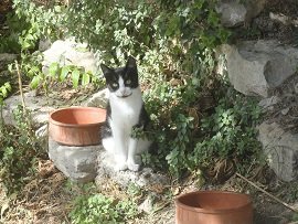 Kastellos, Crete, Kreta