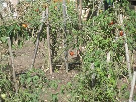 Kastellos, Crete, Kreta