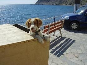 Mirtos, Crete, Kreta