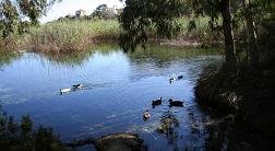 Almiros Beach, Crete, Kreta