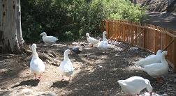 Almiros Beach, Crete, Kreta