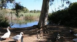 Almiros Beach, Crete, Kreta