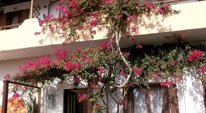 Ostria Rooms in Paleochora, Crete, Kreta.