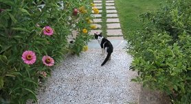 Agathia, Agatia Crete, Kreta