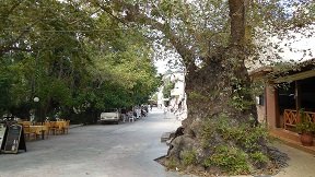 Fodele, Crete, Kreta