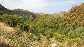 Fodele, Crete, Kreta