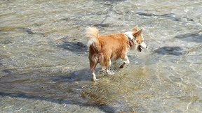 Kedrodasos Beach, Crete, Kreta