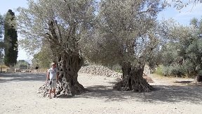 Gortyna, Gortina, Gortyn, Gortys, Kreta, Crete