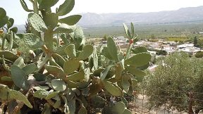 Apoini, Crete, Kreta