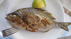 Mochlos, To Bogazi Restaurant, Crete, Kreta.