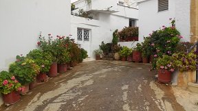 Rodopos, Crete, Kreta