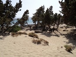 Kedrodasos Beach, Crete, Kreta