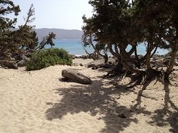 Kedrodasos Beach, Crete, Kreta