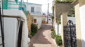 Pefki, Pefkoi, Crete, Kreta.