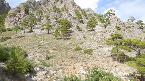 Orino, Crete, Kreta.