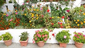 Orino, Crete, Kreta.