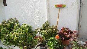 Orino, Crete, Kreta.