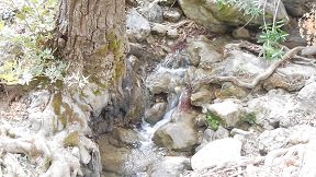 Orino, Crete, Kreta.