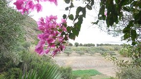 Maridatis, Crete, Kreta