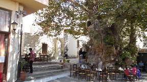 Ano Vianos, Kreta, Crete