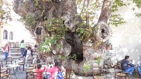 Ano Vianos, Kreta, Crete