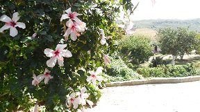 Spilia, Crete, Kreta