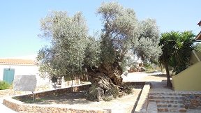 Vouves, Crete, Kreta