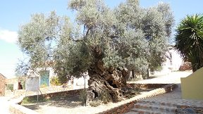 Vouves, Crete, Kreta