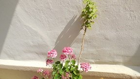 Kaloni, Kreta, Crete