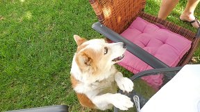 Vassilis Taverna - Falassarna, Kreta, Crete.