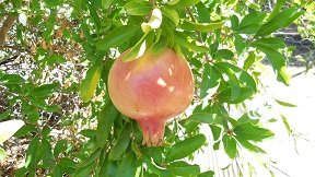 Kato Chorio, Crete, Kreta