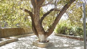 Kato Chorio, Crete, Kreta