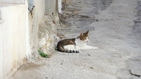Meseleri, Crete, Kreta