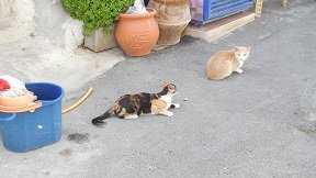 Anatoli, Crete, Kreta