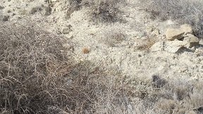 Mirtos, Crete, Kreta