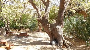 Zakros, Crete, Kreta