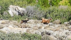 Livadia beach, Crete, Kreta