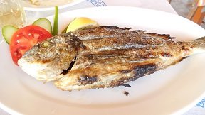 Zefyros Taverna Chrissoskalastissa, Crete, Kreta
