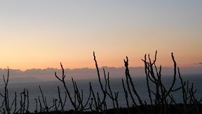Lemon Tree Villas, Crete, Kreta