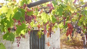 Mouzouras, Crete, Kreta