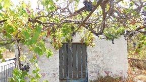 Mouzouras, Crete, Kreta