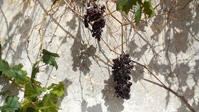 Mouzouras, Crete, Kreta