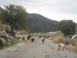 Vosakou, Vosakos, Vossakos, Timios Stavros, Crete, Kreta