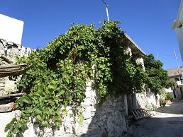 Kato Vianos, Kreta, Crete.